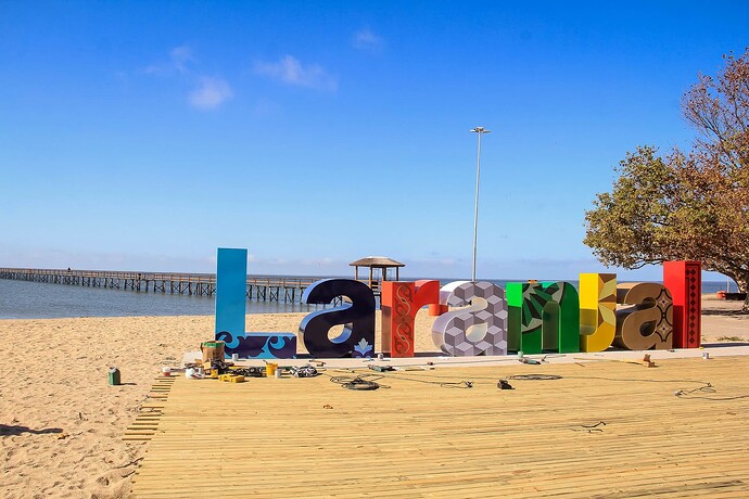 Laranjal na cidade de Pelotas