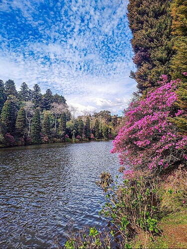 Lago Negro, Gramado