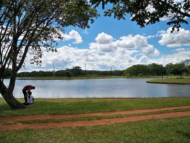Parque da Cidade - brasilia