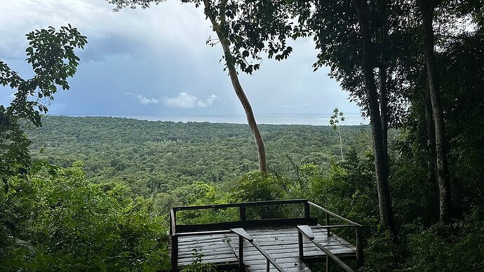 Alter do Chão, Flona