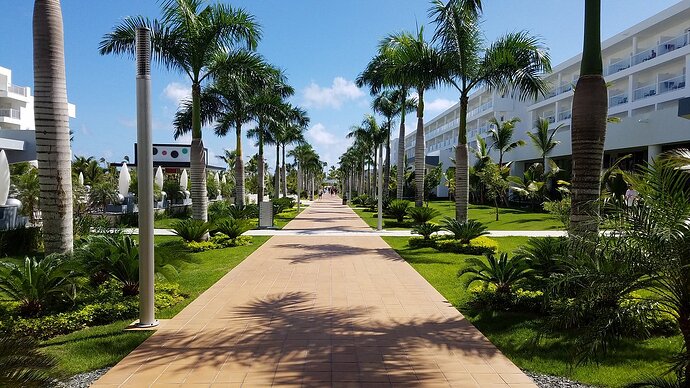 Hotel Riu Republica, Caribe