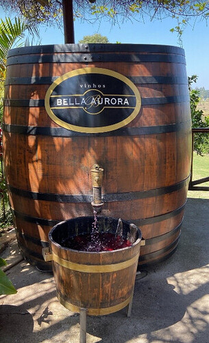 O que fazer em São Roque gastando pouco?