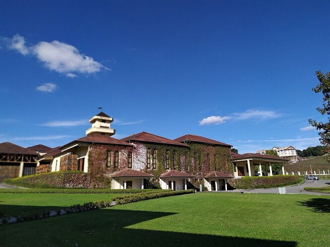 Vinícola Miolo, Vale do São Francisco