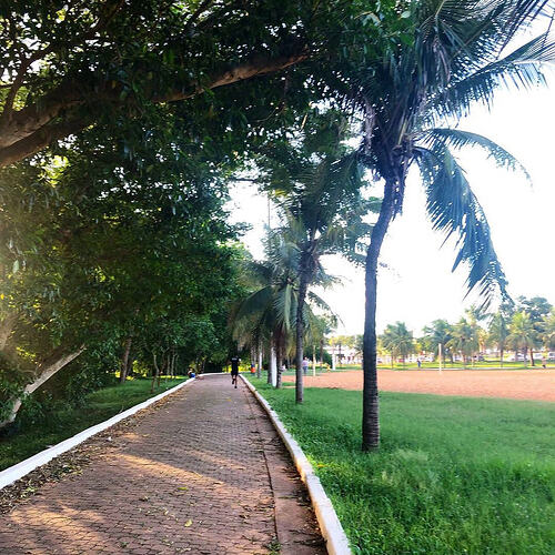 Qual a melhor linha de turismo para Rondonópolis