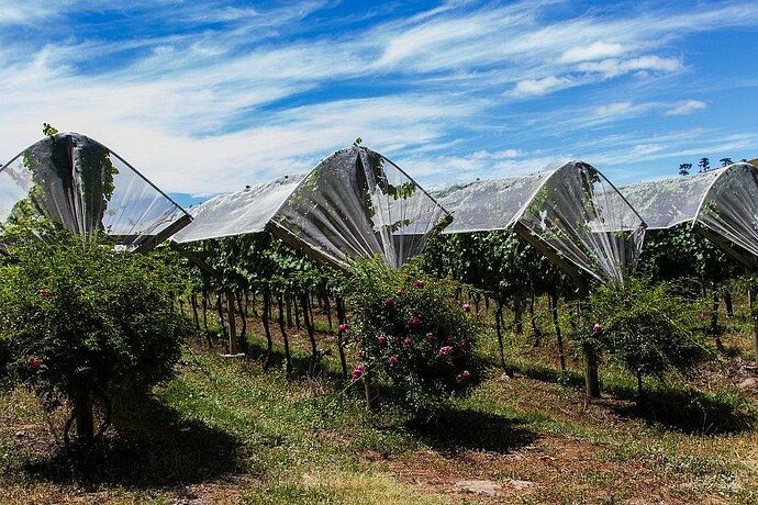 Villa Francioni - São Joaquim