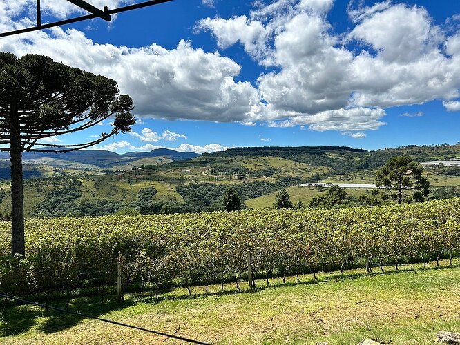 Vinicola Perico, São Joaquim