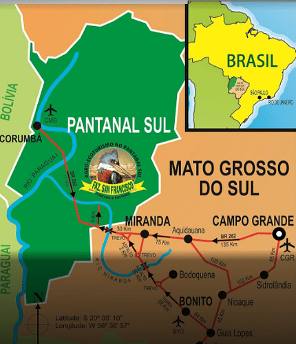 passeio pelo Pantanal de barco