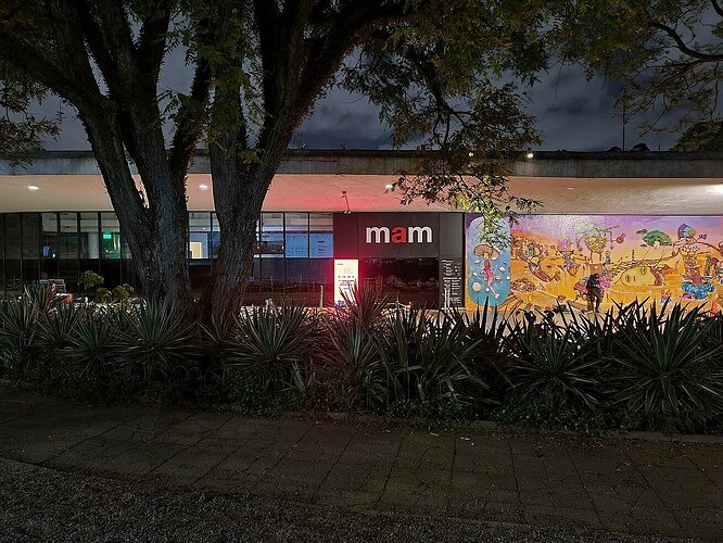 Museu de Arte Moderna de São Paulo