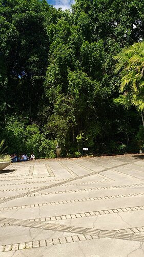 jardim-botanico-do-recife