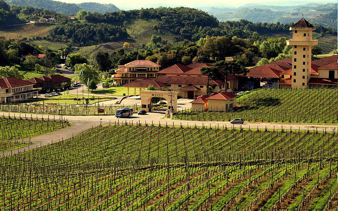 principais-atracoes-de-bento-goncalves-rs-