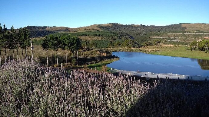 Vinícola Vinhedos do Monte Agudo