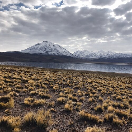 Lagunas Altiplânicas y Piedras Rojas, Chile