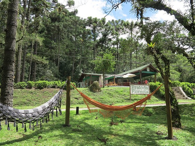 Dona Chica Na Floresta, Campos do Jordão