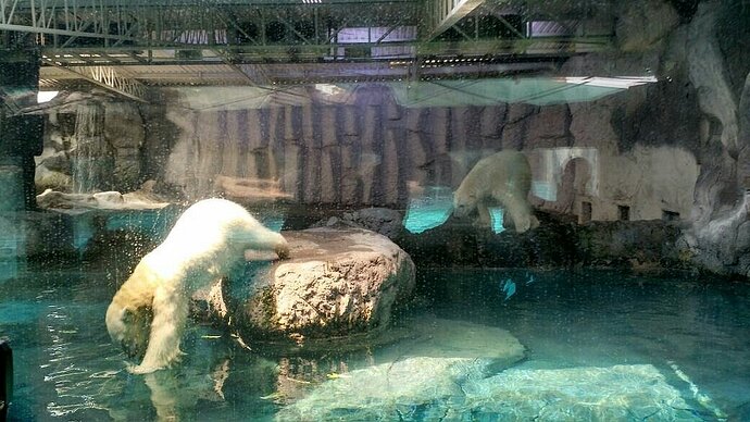 Quais os melhores lugares em São Paulo - Aquário