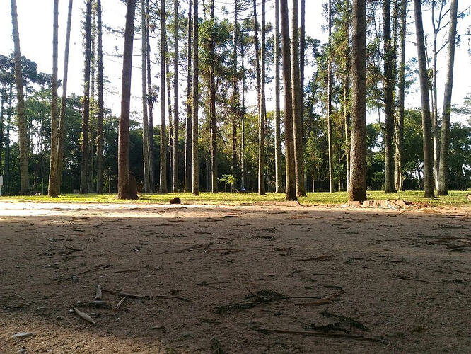 São José dos Campos