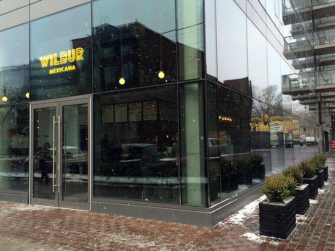 Wilbur Mexicana, Toronto