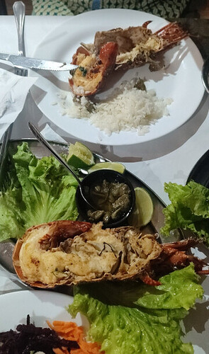 Qual o melhor restaurante em Búzios com vista para o mar?