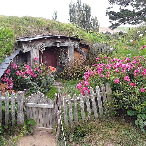 Hobbiton Movie Set - Hinuera