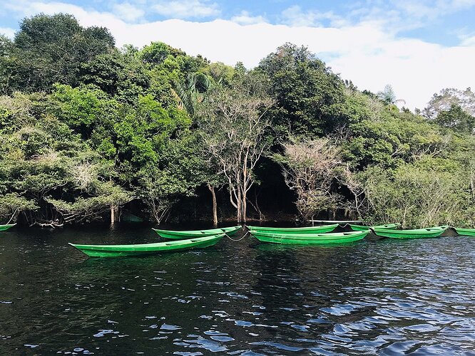 Novo Airão - local para praticar Canoagem no Amazonas