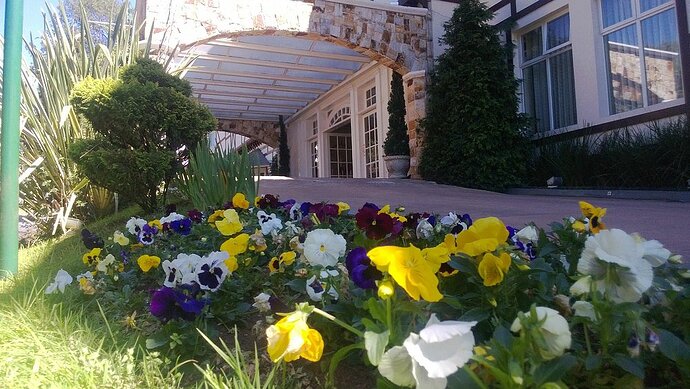 Hotel Serra da Estrela campos do jordão