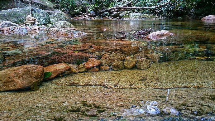 Parque Estadual Pico do Marumbi