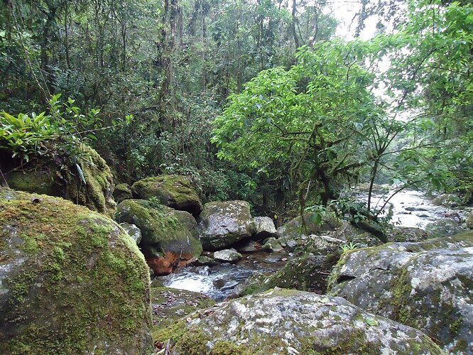 Serra do Mar Curitiba