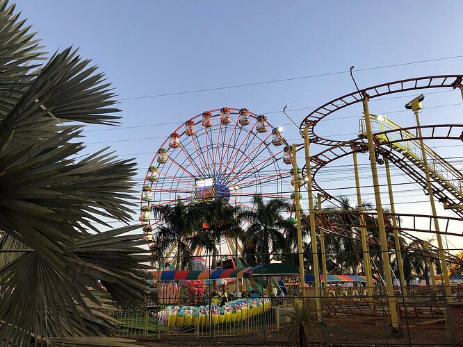 Parque da Cidade Sarah Kubitschek