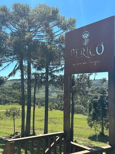 Vinicola Perico - São Joaquim