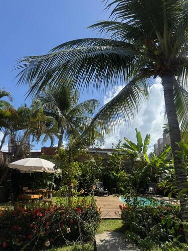 ano novo São Miguel dos Milagres