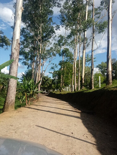 Onde posso acampar na Ilha do Mel?