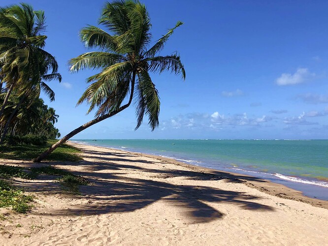 Praia do Patacho em São Miguel dos Milagres