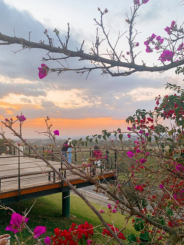 São José dos Campos