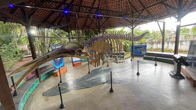 Que linha de turismo passa por Macapá?