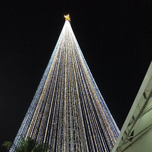 Praça da Árvore de Mirassol, Natal
