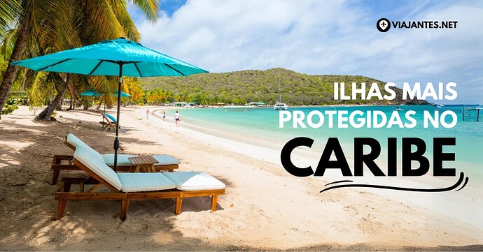 Por que Você Precisa de um Airbnb em 2024 Descubra as Vantagens de uma Experiência Personalizada de Hospedagem!