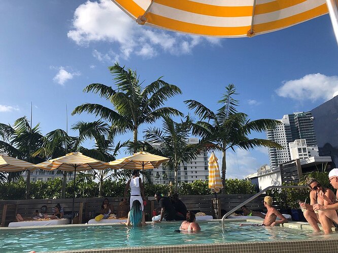 catalina viagem miami