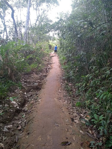 trilha Caraguatatuba praia brava