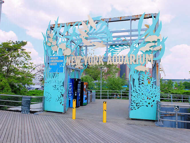 aquario nova york