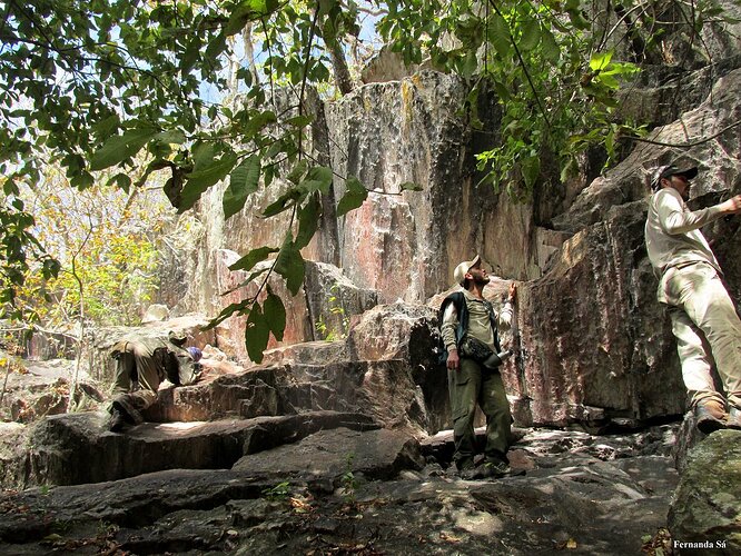 birdwatching-pantanal