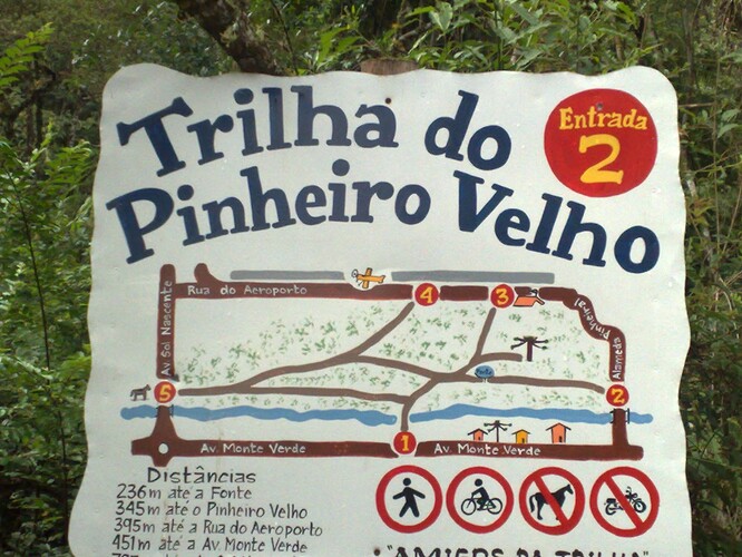 trilha do pinheiro velho