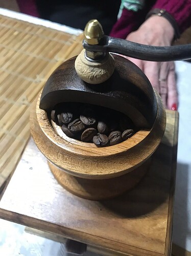 colheita do café no interior de São Paulo