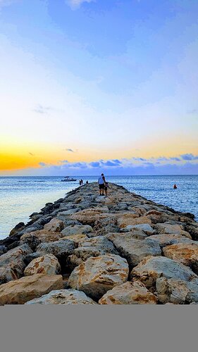Praia de Aruba Palm beach