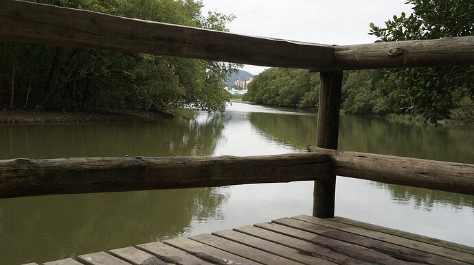 Parque Municipal do Manguezal do Itacorub