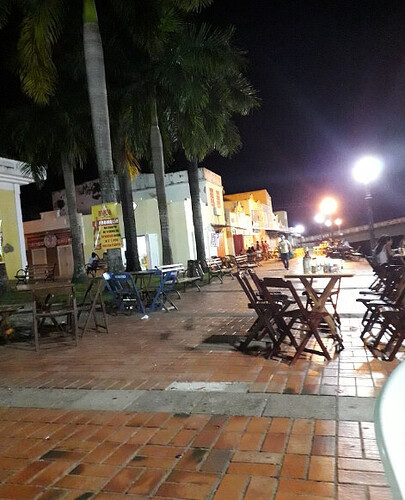 Cultura Elias Mansour