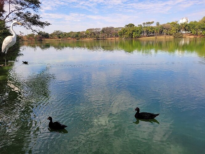 Parque Portugal taquaral
