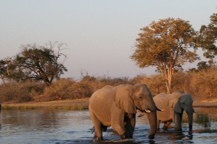Orçamento para uma viagem à África