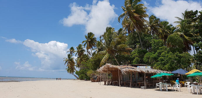 Onde encontrar os melhores retiros de yoga no sul da Bahia