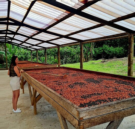 Fazenda Capela Velha