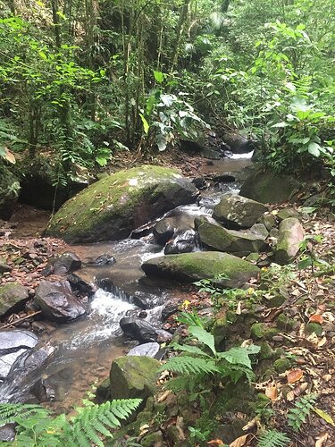 Camping Spitzkopf Blumenau Santa Catarina