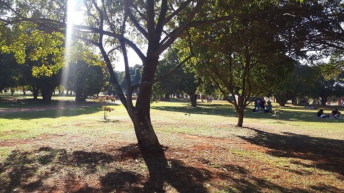 Parque da Cidade Sarah Kubitschek - Brasília